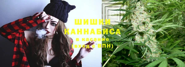 сатива Абинск