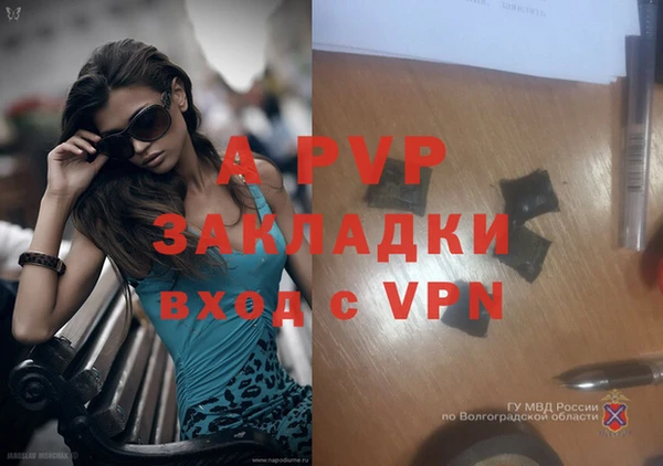 сатива Абинск