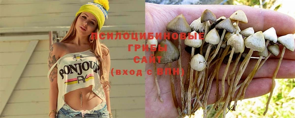 твердый Абдулино